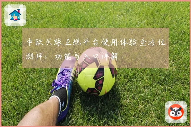中欧买球正规平台使用体验全方位测评，功能与入口详解